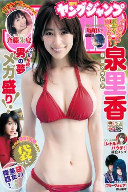 女人当官电视剧全集