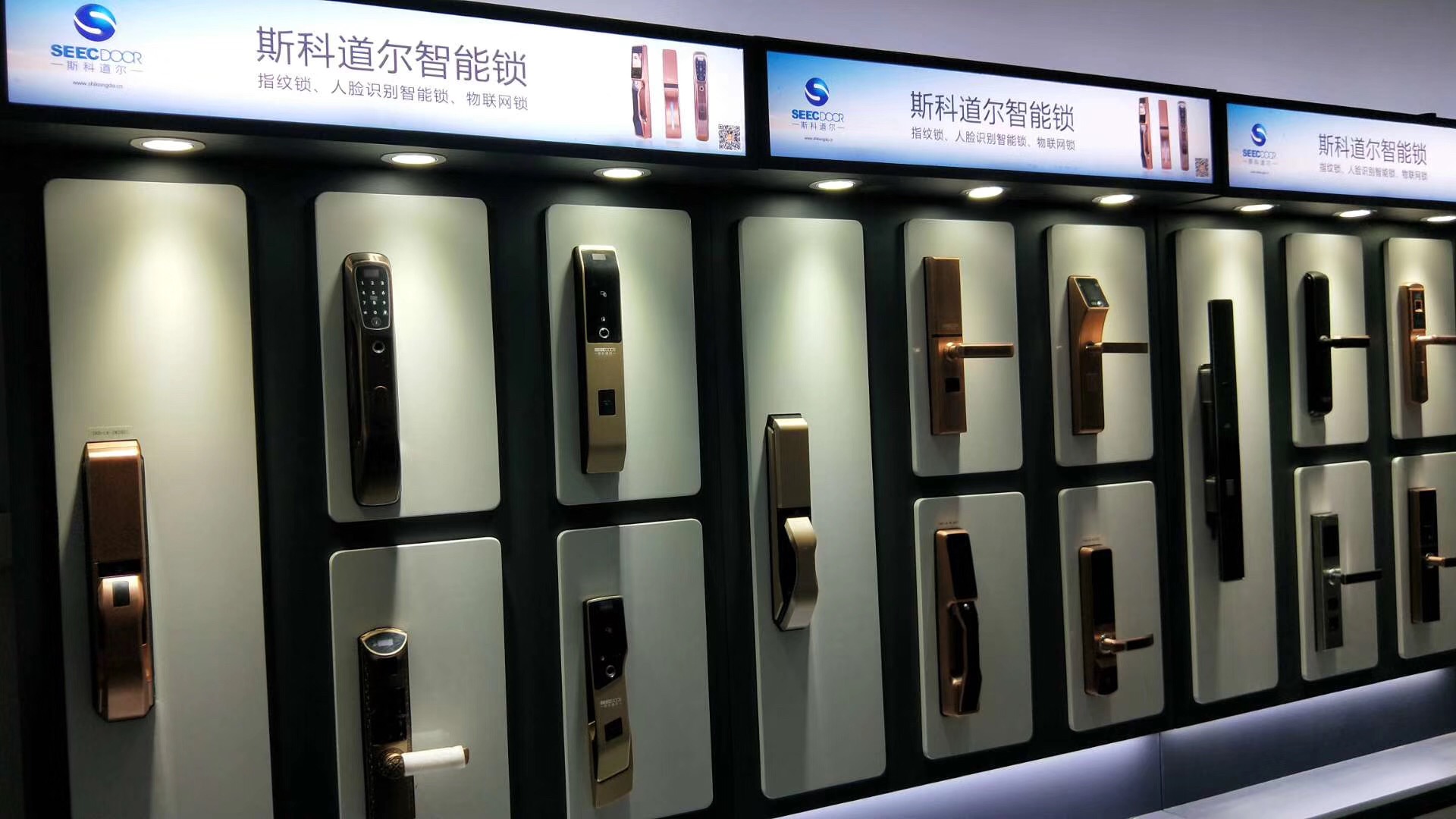 斯科道尔 斯科道尔